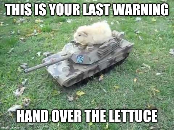20 Funniest Hamster Memes for World Hamster Day 15 this is your last warning - Hamster Memes