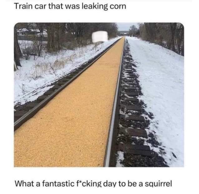 24 Nature Memes for Anyone Who Needs a Breath of Fresh Air 15 train car - nature memes