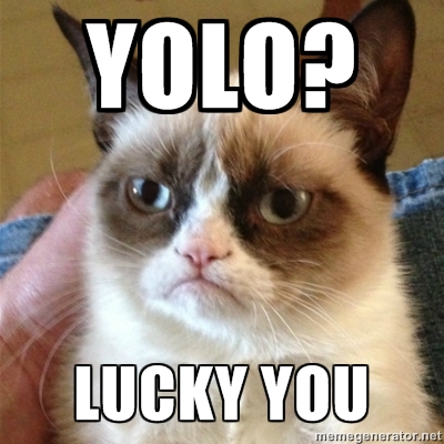 25 Grumpy Cat Memes That Will Make You Relate To Your Own Grumpiness 24 yolo