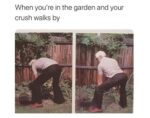 15 Memes That Elevate Your Mood Instantly - FG.jpg