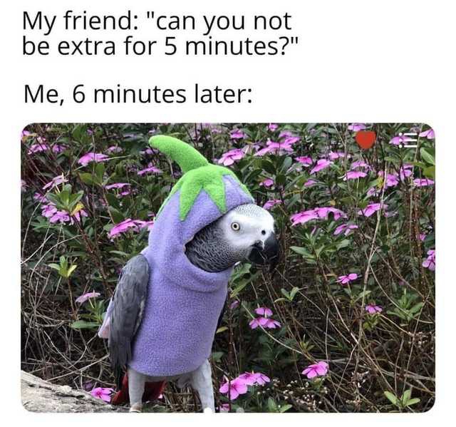 25 Memes That Are Funnier Than Your Favorite Sitcom 21 6 minutes later