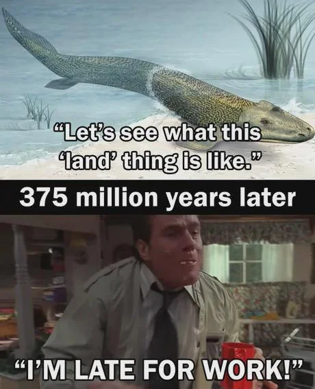 45 Hilarious Science Memes That Will Make Your Brain Cells Dance 42 All of evolution has led us to this moment