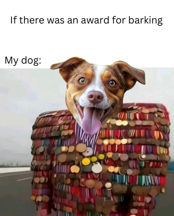 Award for barking