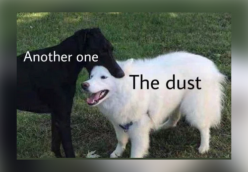 Boomer Humor - FG.png