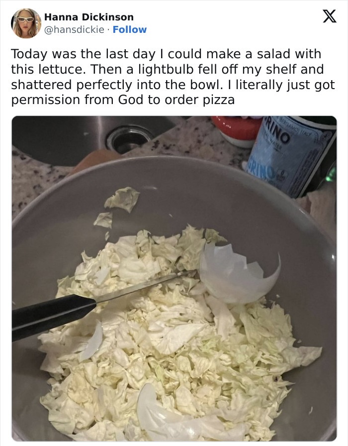 20 Epic Cooking Fails That Tested the Limits of Edibility 4 Bulb Salad - cooking fails