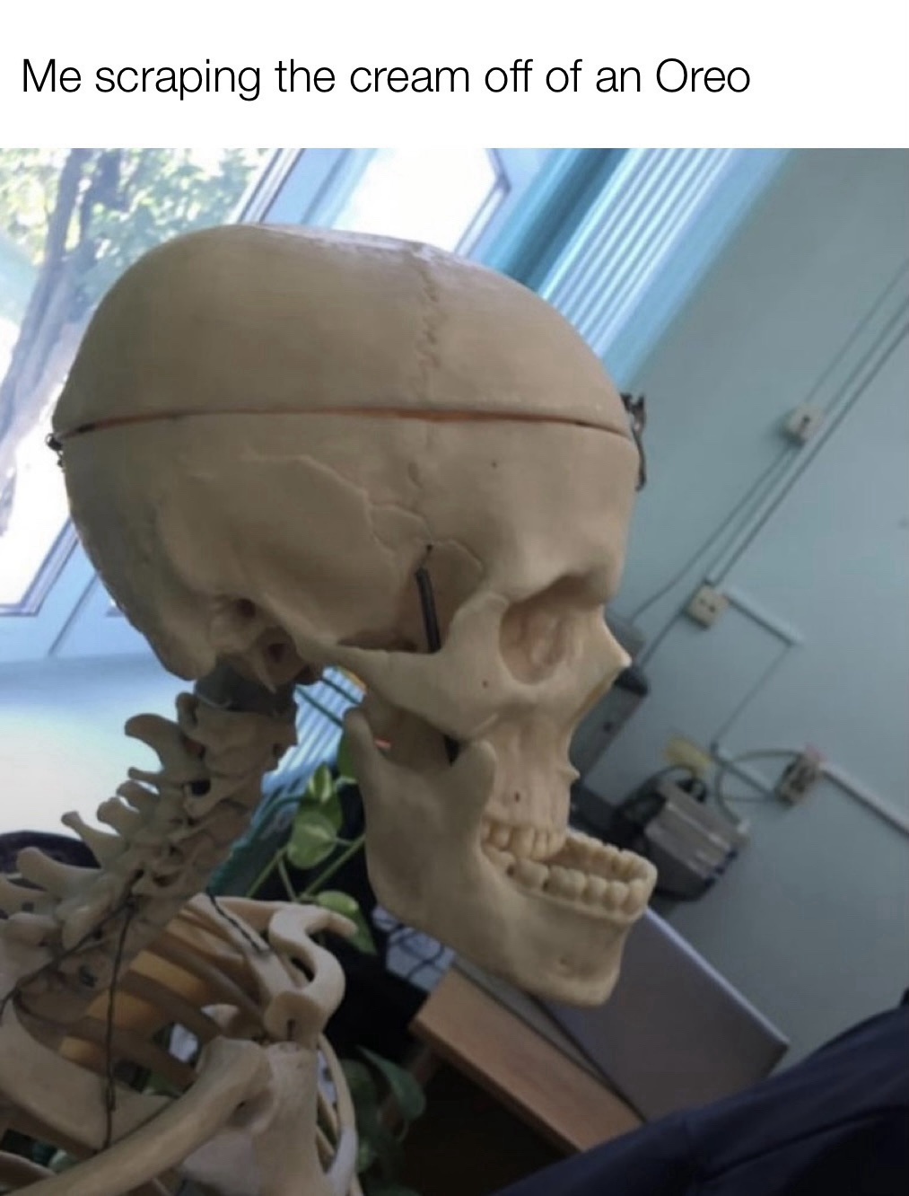 30 Hilarious Memes Guaranteed To Cure Your Boredom 28 Cream of orea