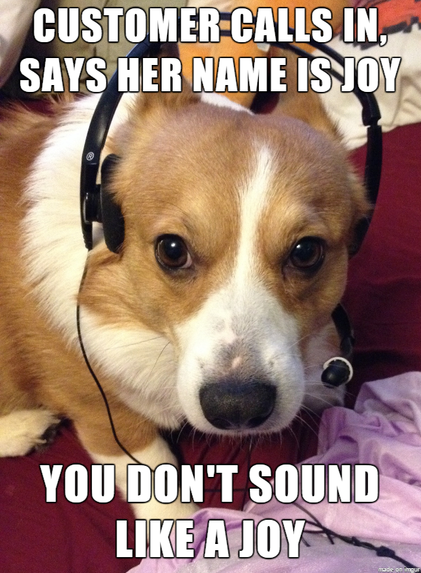 30 Customer Service Memes That Will Make You Laugh & Relate 22 Customer calls in - customer service memes