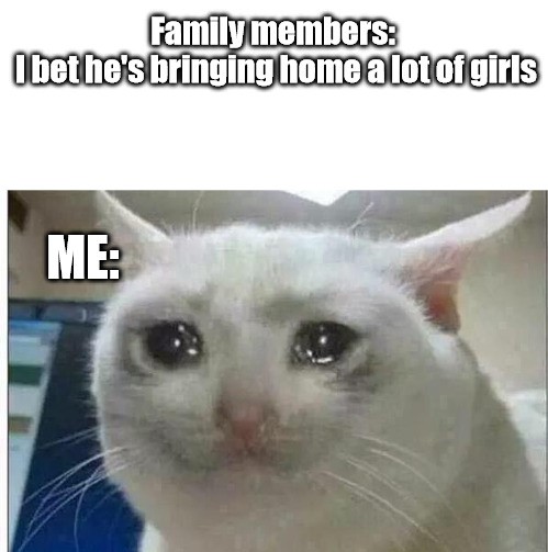 25 Hilarious Crying Cat Memes That Will Have You In Tears…Of Laughter! 21 Family Members