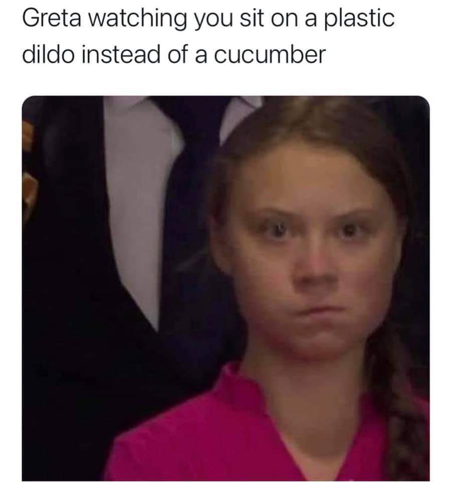 20 Environment Memes to Spread Awareness on World Environment Day 8 Greta watching you - Environment Memes