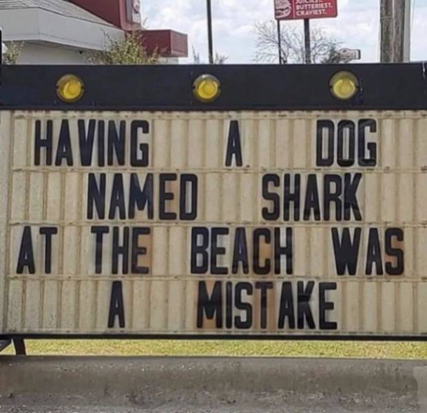 25 Memes That Will Make You Snort with Laughter 24 Having adog