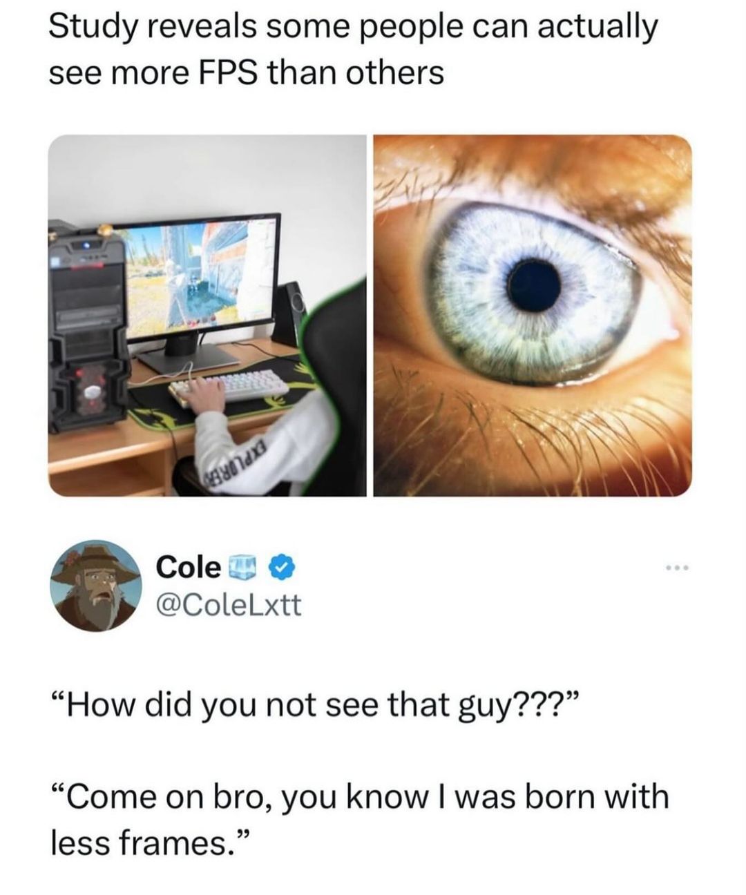 25 Hilarious Memes That Will Revive Your Brain Cells 6 How did you not see that guy - hilarious memes