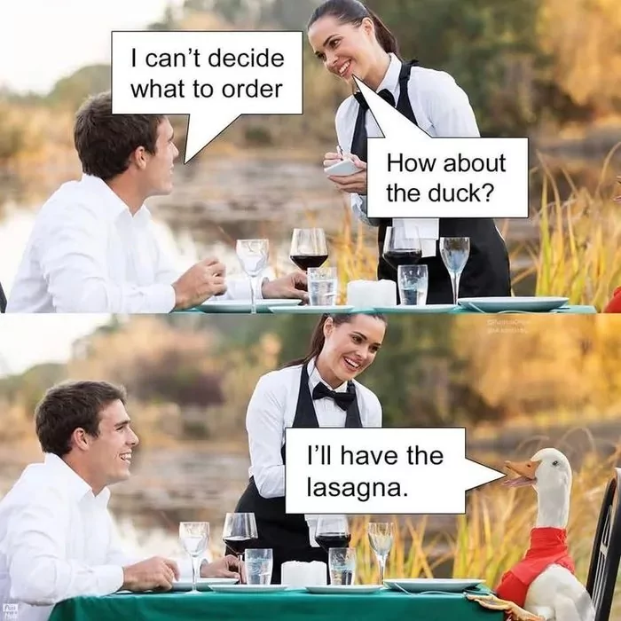 30 Dumb Memes For People Who Think Everything Is Funny 28 I cant decide