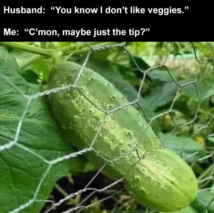 40 Memes That Will Make You Show All Your Teeth 39 I dont like veggies