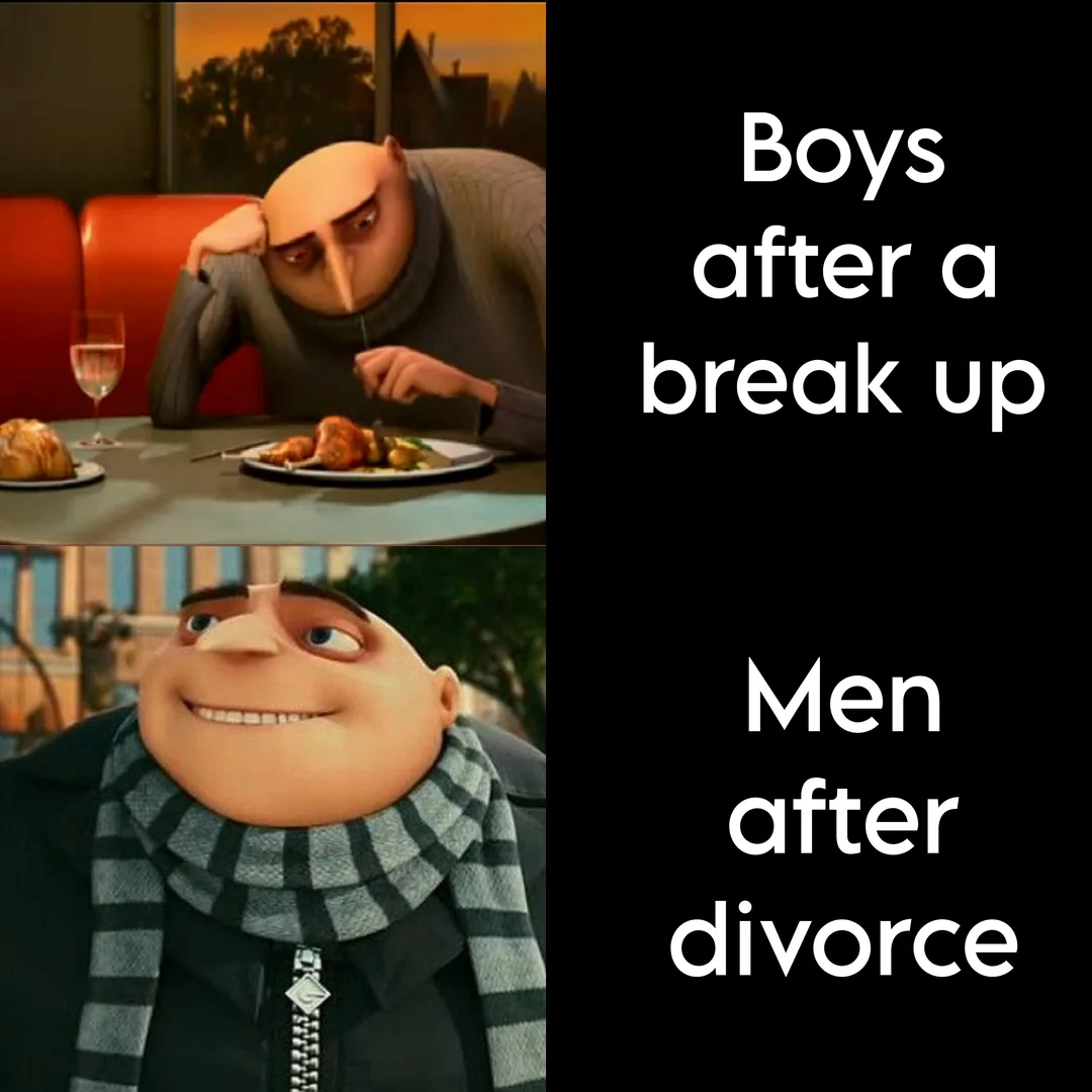 30 Divorce Memes That Turn Tears Into Laughter 29 Men after divorce