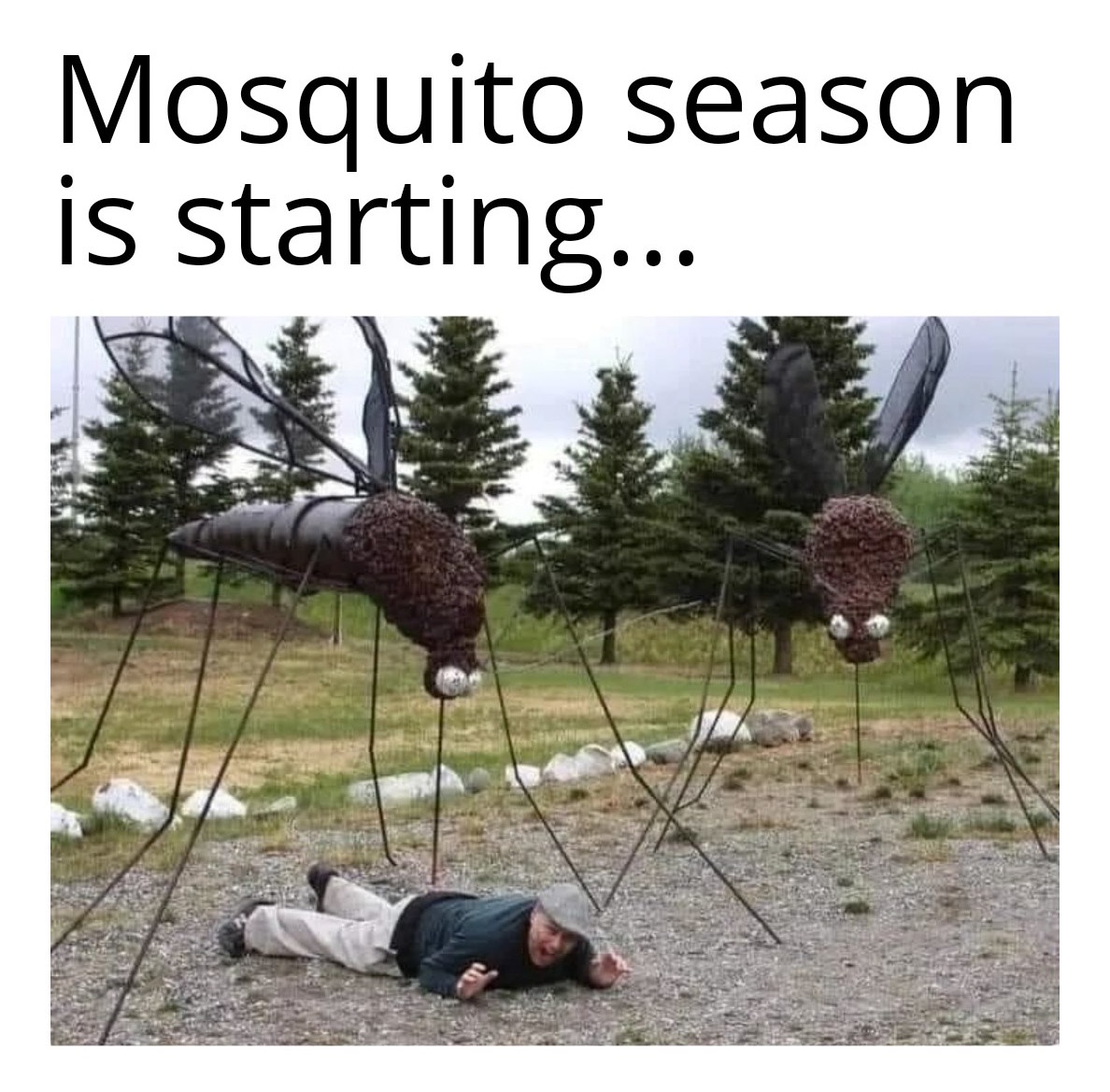35 Summer Memes That Will Make You Sweat… With Laughter! 33 Mosquito