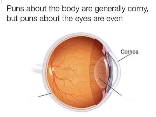30 Backlogged Memes That Deserve Your Attention 27 Puns about the body