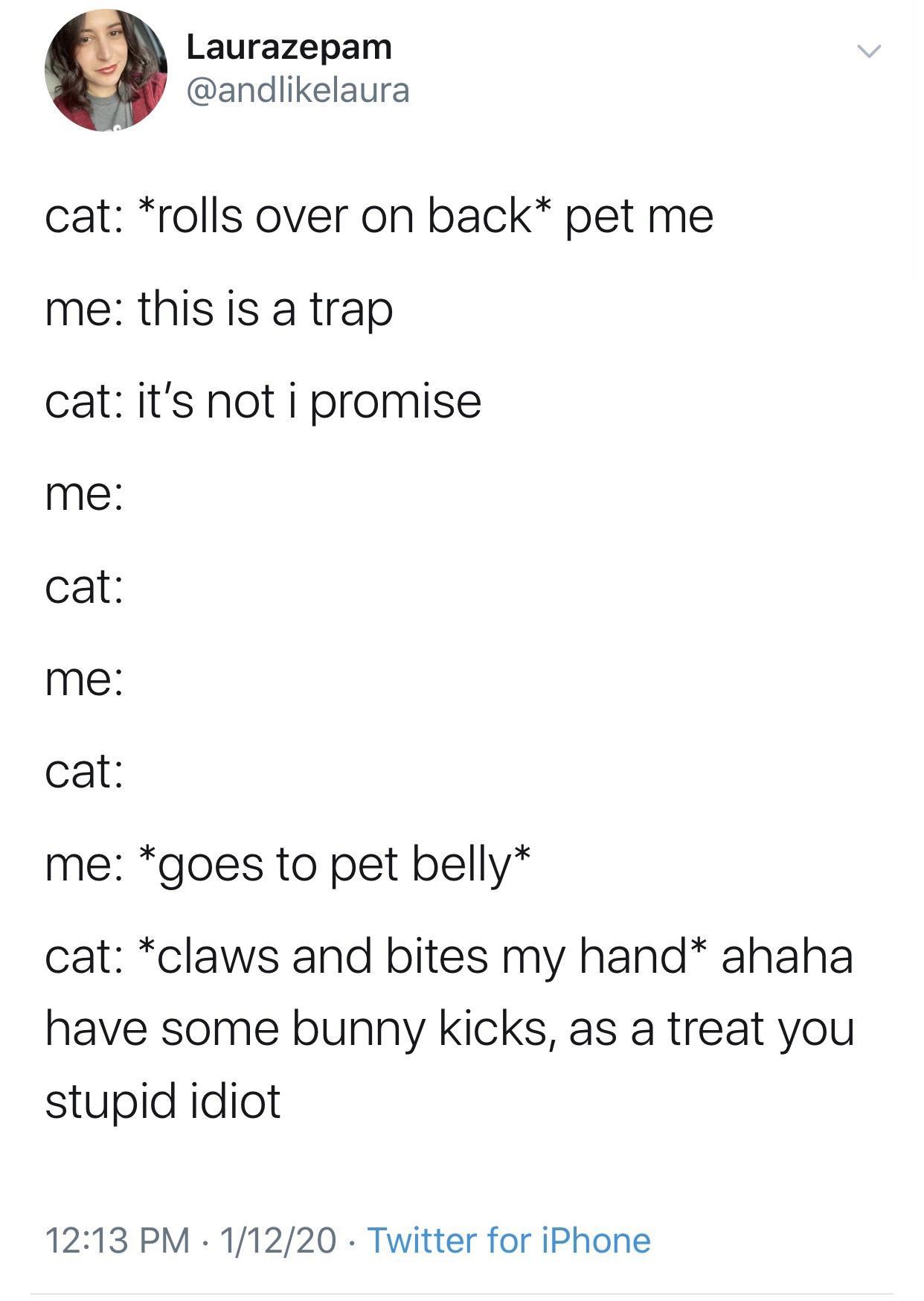 25 Laughter-Inducing Memes You Didn't See Coming 24 Rolls over on back