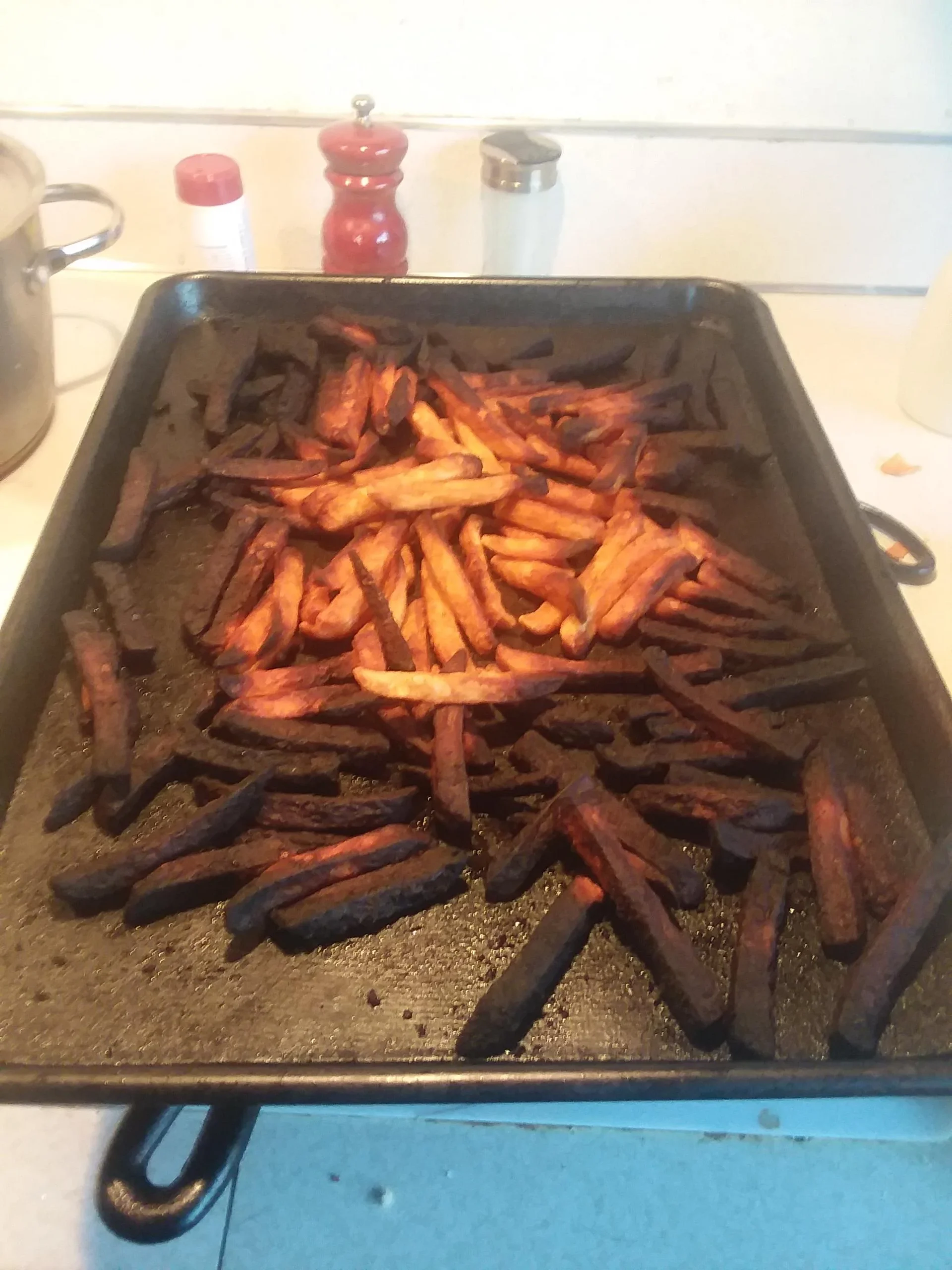 20 Epic Cooking Fails That Tested the Limits of Edibility 18 Step mom failed to make some simpole sweet potato fries - cooking fails