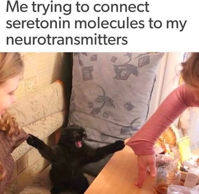 30 Backlogged Memes That Deserve Your Attention 29 Trying to connect