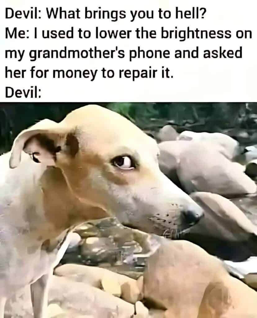 What brings you to hell