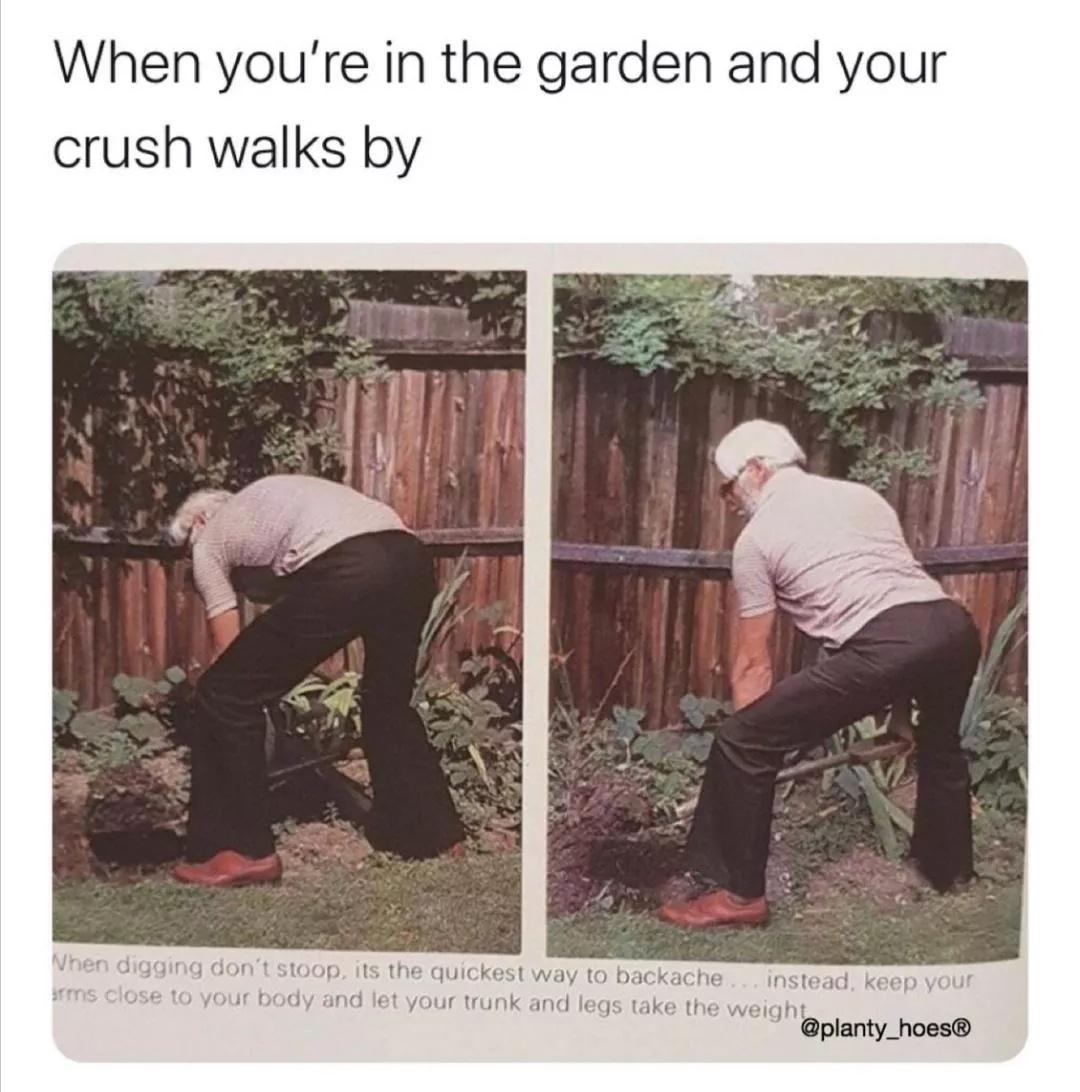 15 Memes That Elevate Your Mood Instantly 15 When youre in the garden