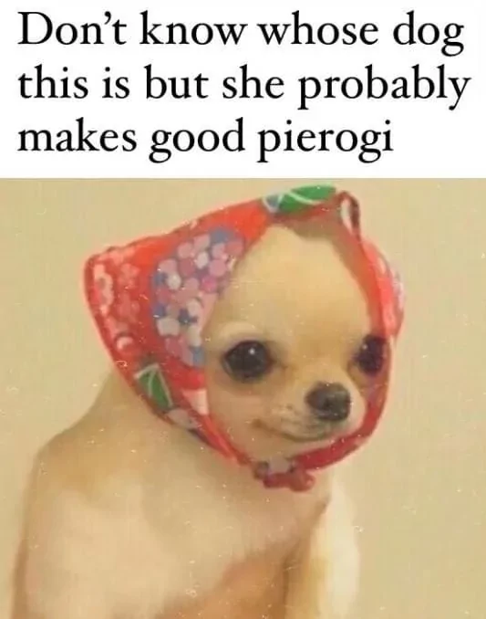 30 Chihuahua Memes That Will Make You Believe "Good Things Come In Small Packages" 30 When the doorbell rings