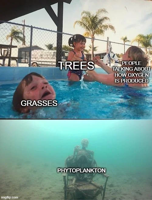 45 Hilarious Science Memes That Will Make Your Brain Cells Dance 35 Why do trees get all the credit?