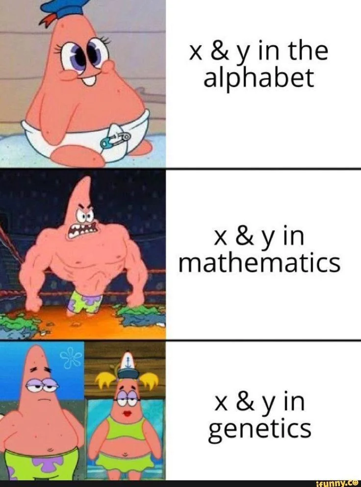 45 Hilarious Science Memes That Will Make Your Brain Cells Dance 44 X and Y supremacy