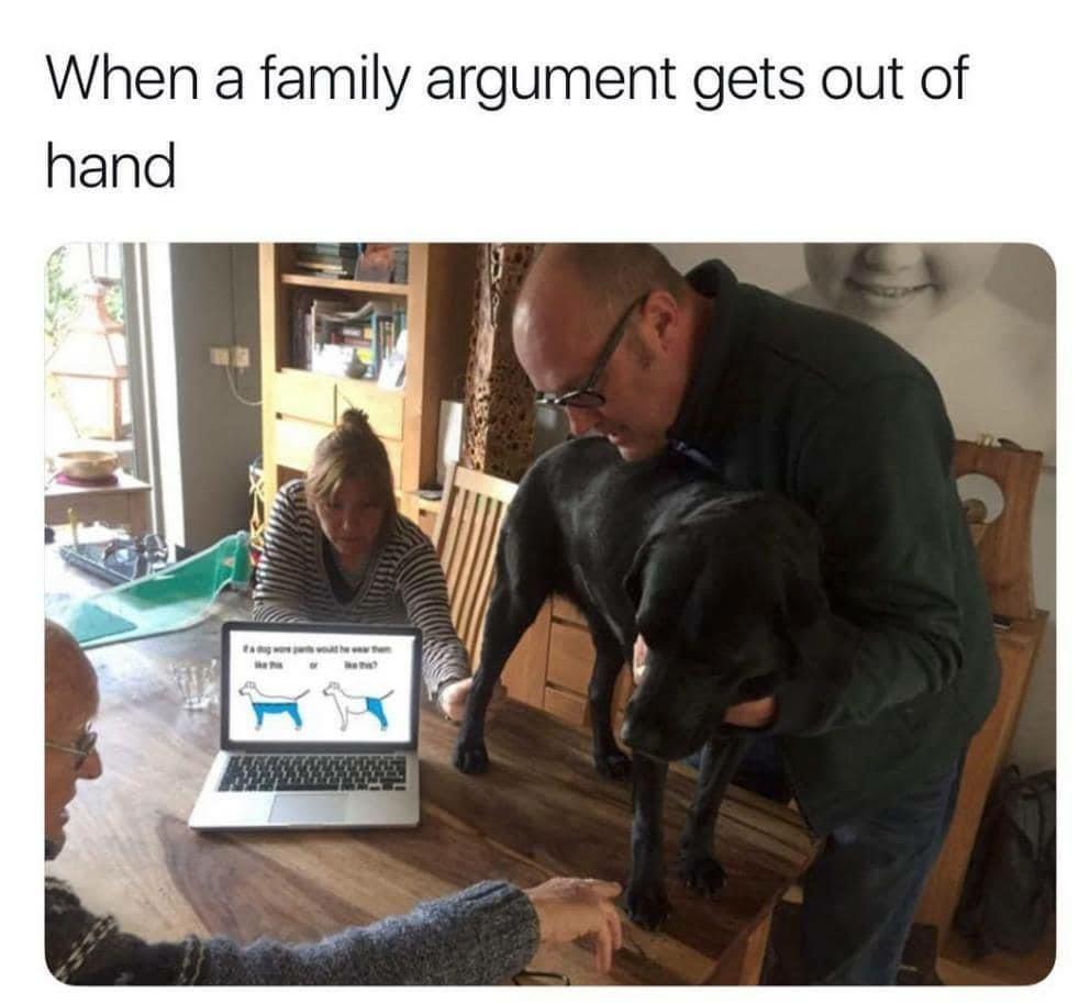 25 Random Memes For Maximum Giggles 17 family argument