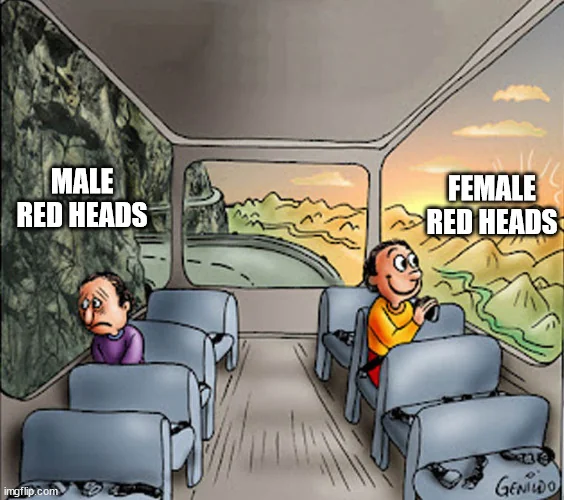 20 Redhead Memes to Celebrate World Redhead Day with Laughter 5 male redheads vs female redheads - Redhead Memes