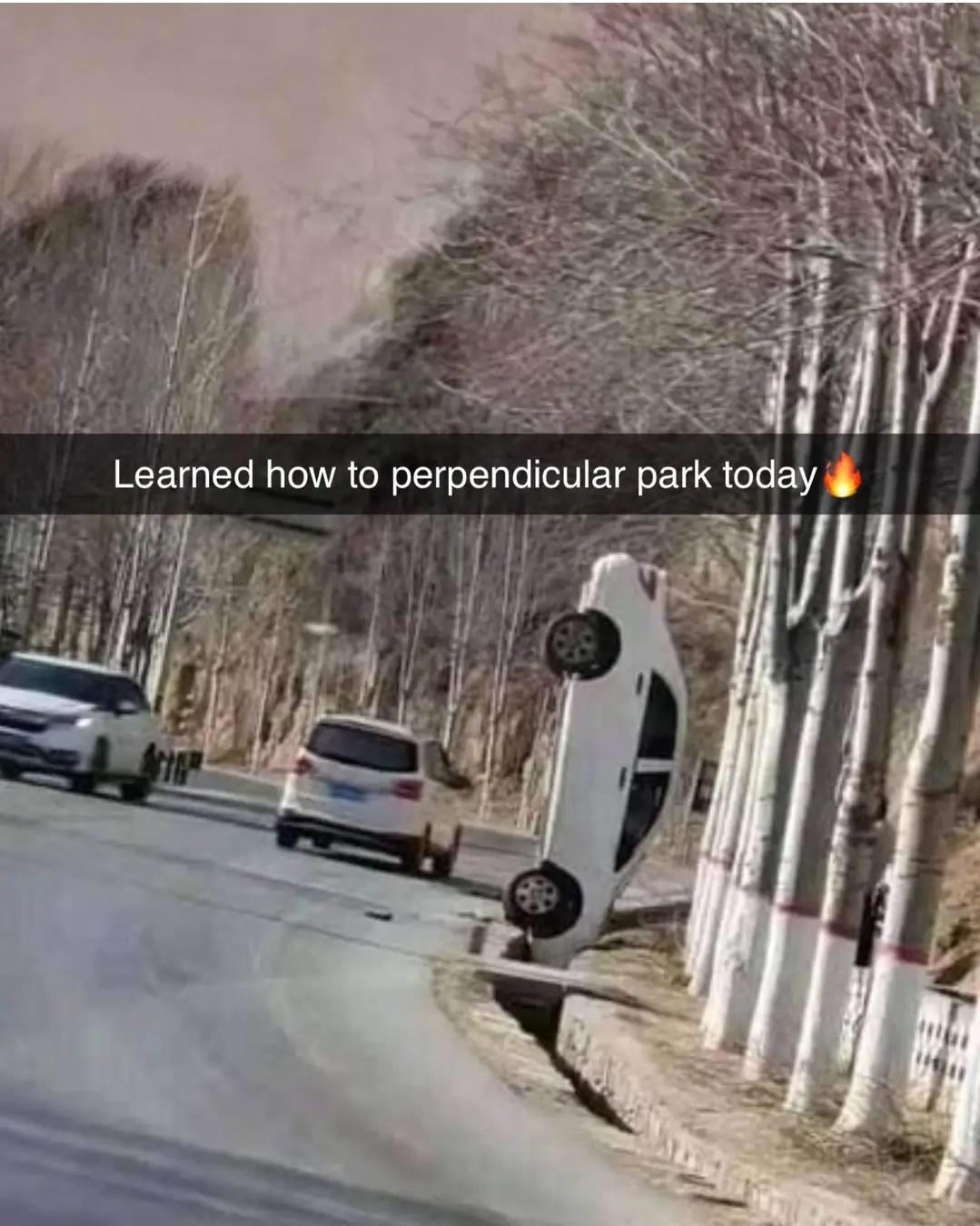 15 Memes to Summon Side-Splitting Laughter 13 perpedicular park