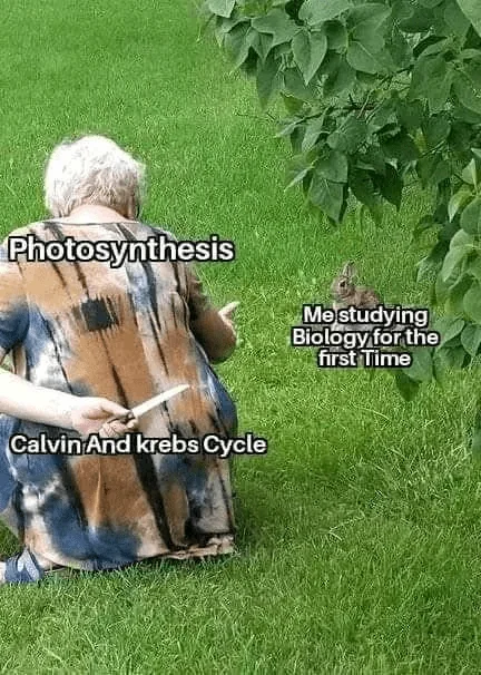 45 Hilarious Science Memes That Will Make Your Brain Cells Dance 10 real