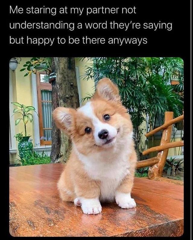 15 Memes That Elevate Your Mood Instantly 8 staring at partner