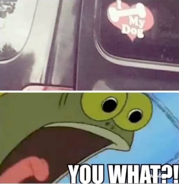 25 Memes That Will Make You Snort with Laughter 27 you what