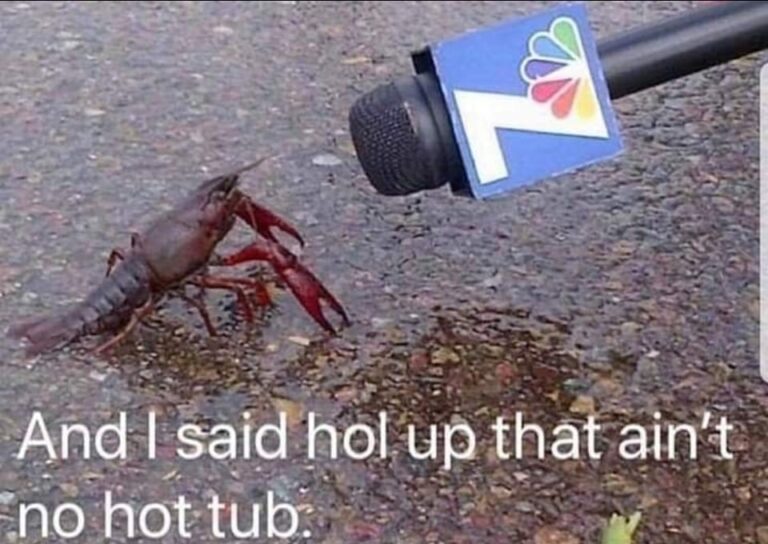 20 Random Animal Humor to Distract You from Adulting - Animals