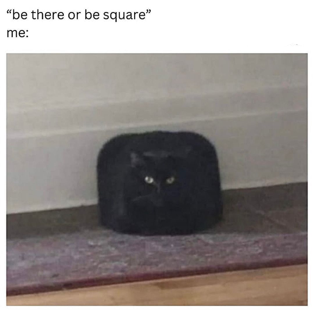 20 Hilarious Cat Memes from 'Catsfllix' That Will Make You Cancel Netflix 2 Be there or be square - Hilarious Cat Memes