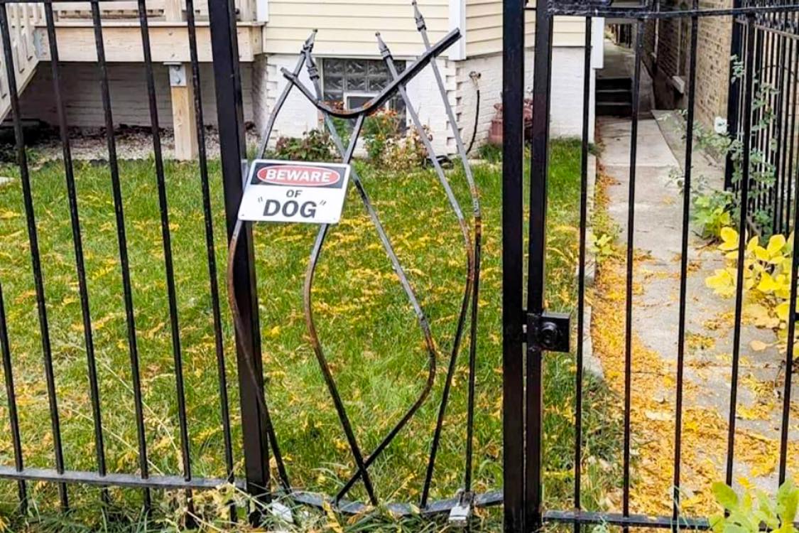 25 Hilarious Signs That Are Too Funny to Ignore 4 Beware of dog - Hilarious Signs