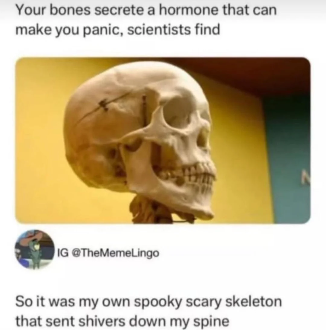 Bones secrete a hormone