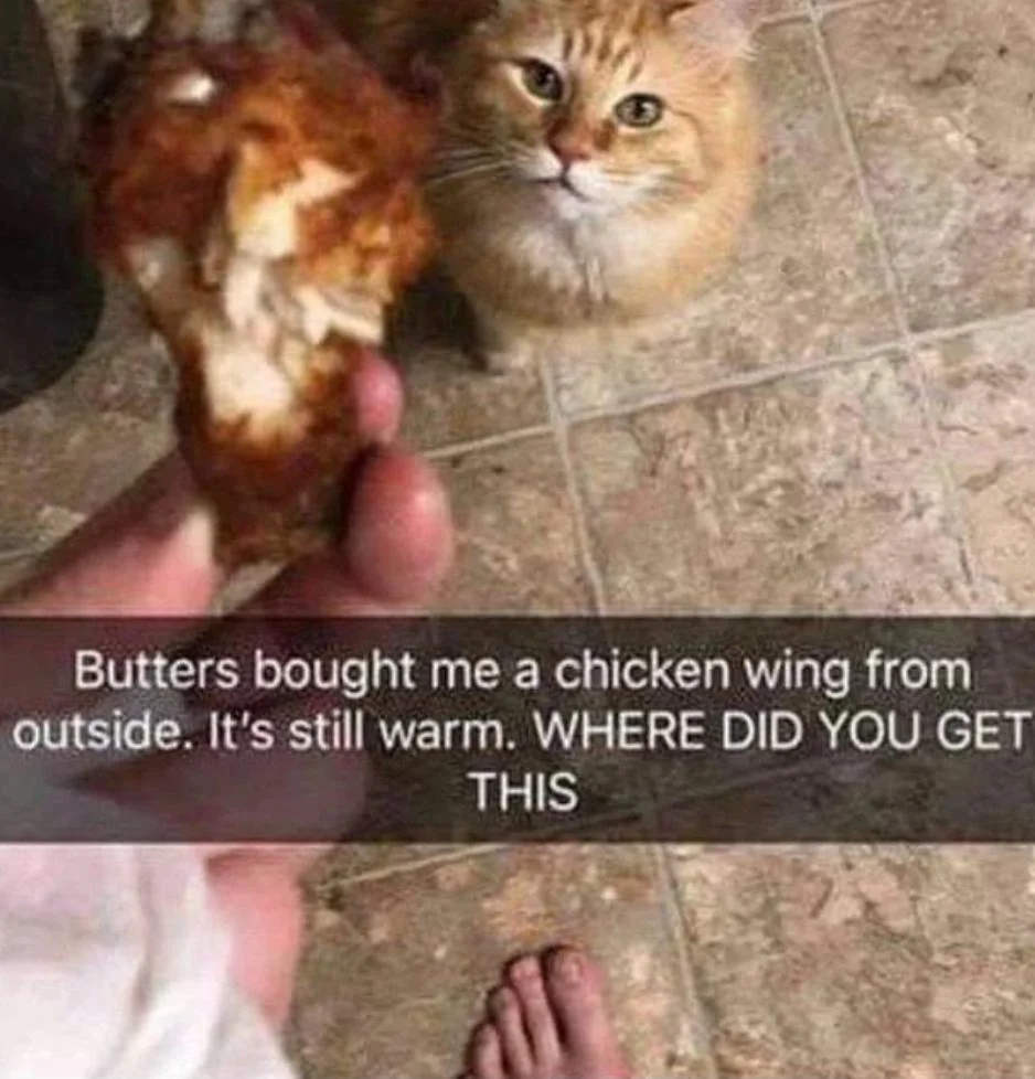 20 Chicken Wings Memes to Spice Up Your International Chicken Wing Day Celebration 3 Butters brought me a chicken wing - Chicken Wings Memes