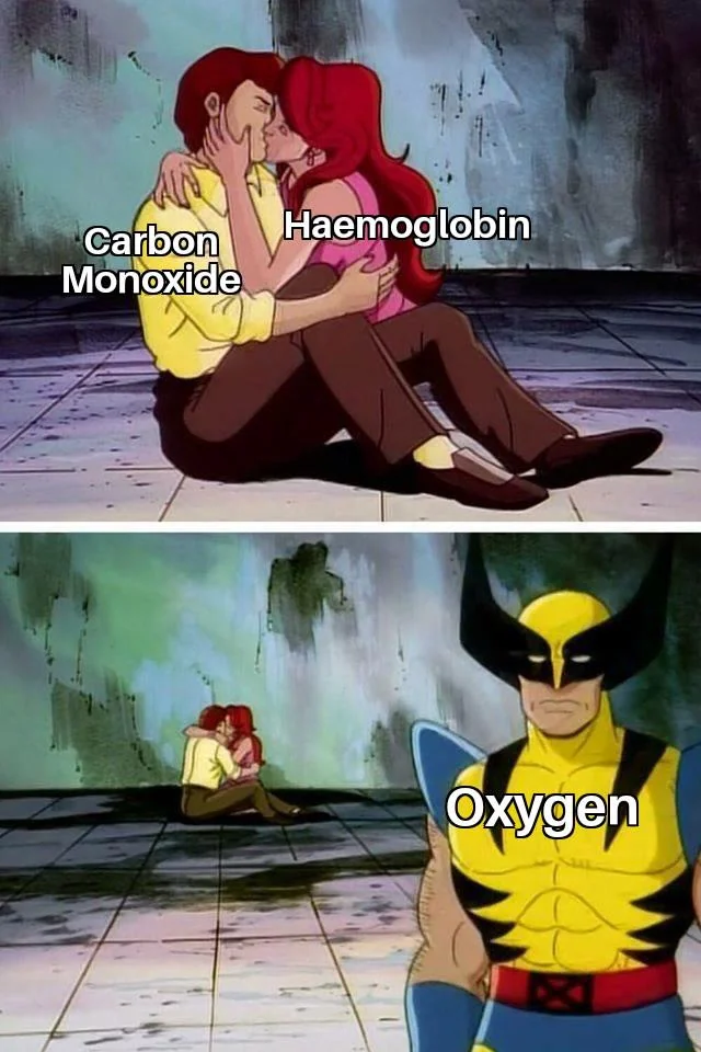 Carbon monoxide and hemoglobin