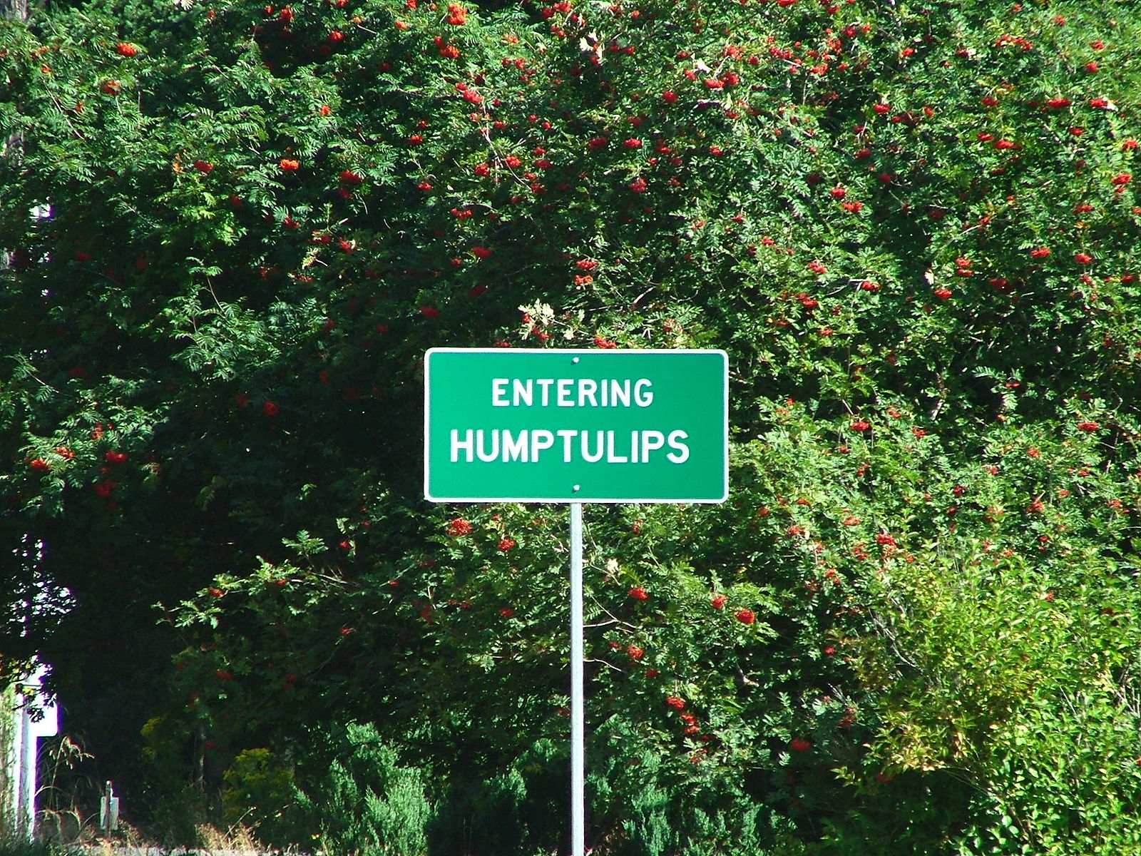 20 Funny Town Names That Actually Exist 10 Entering humptulips