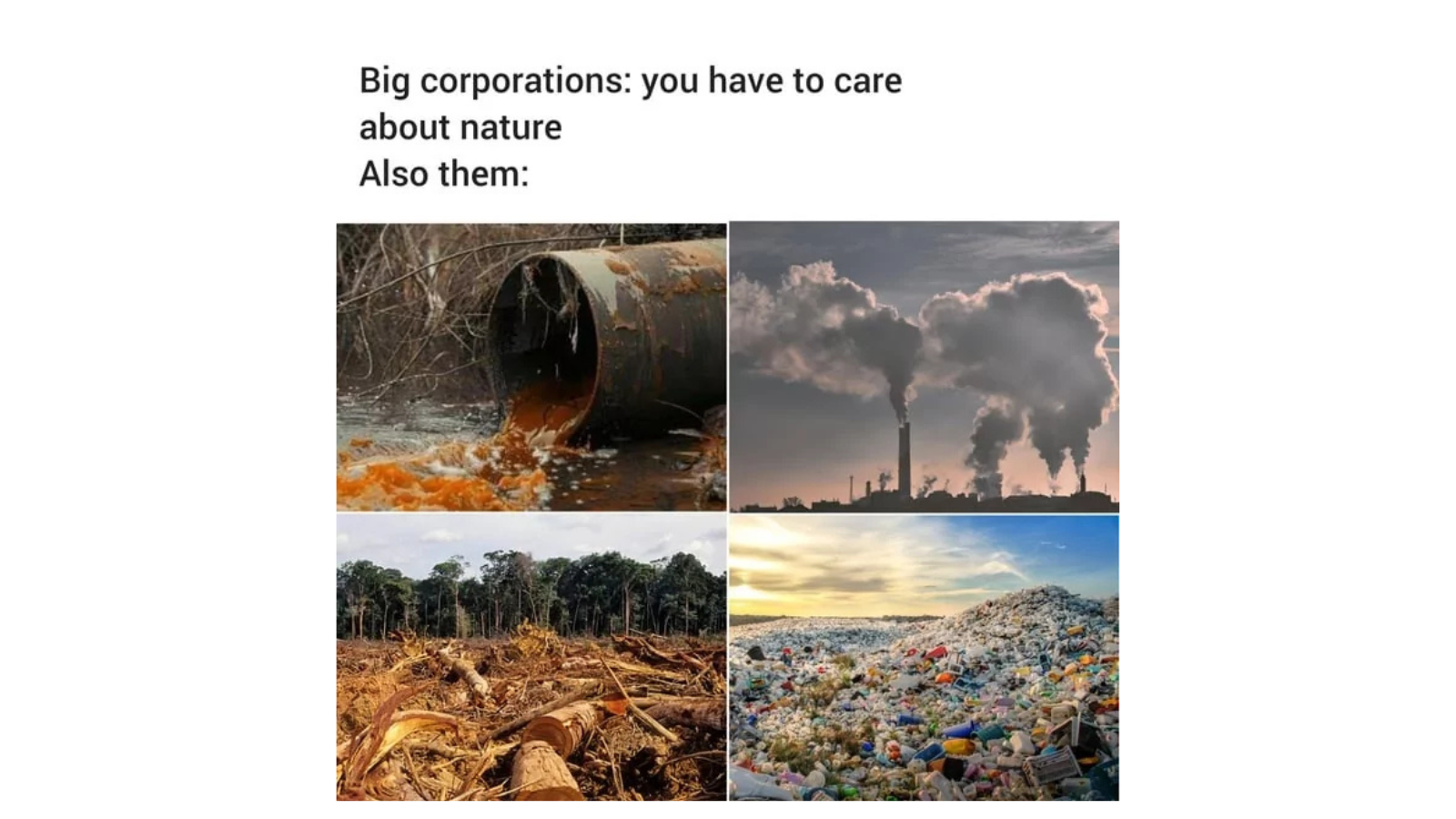 Environment Memes to Spread Awareness on World Environment Day FG
