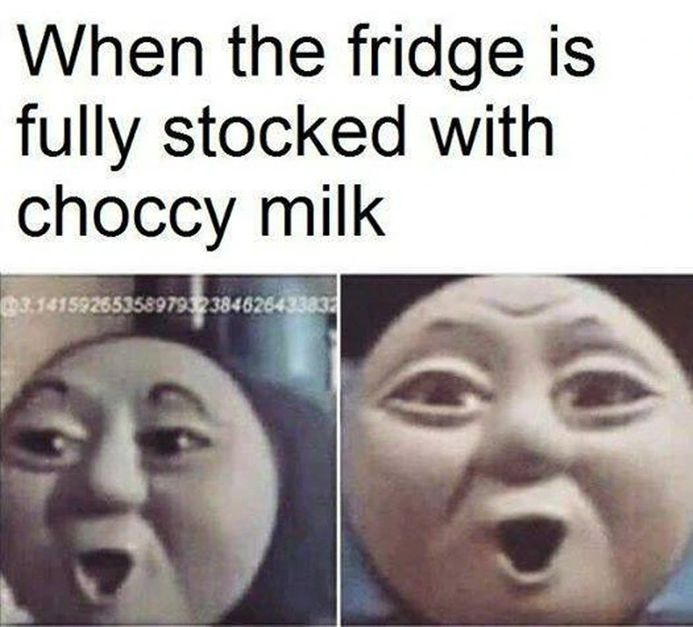 22 Memes That Will Make Your Last Two Brain Cells Giggle 21 Fridge is fully stocked