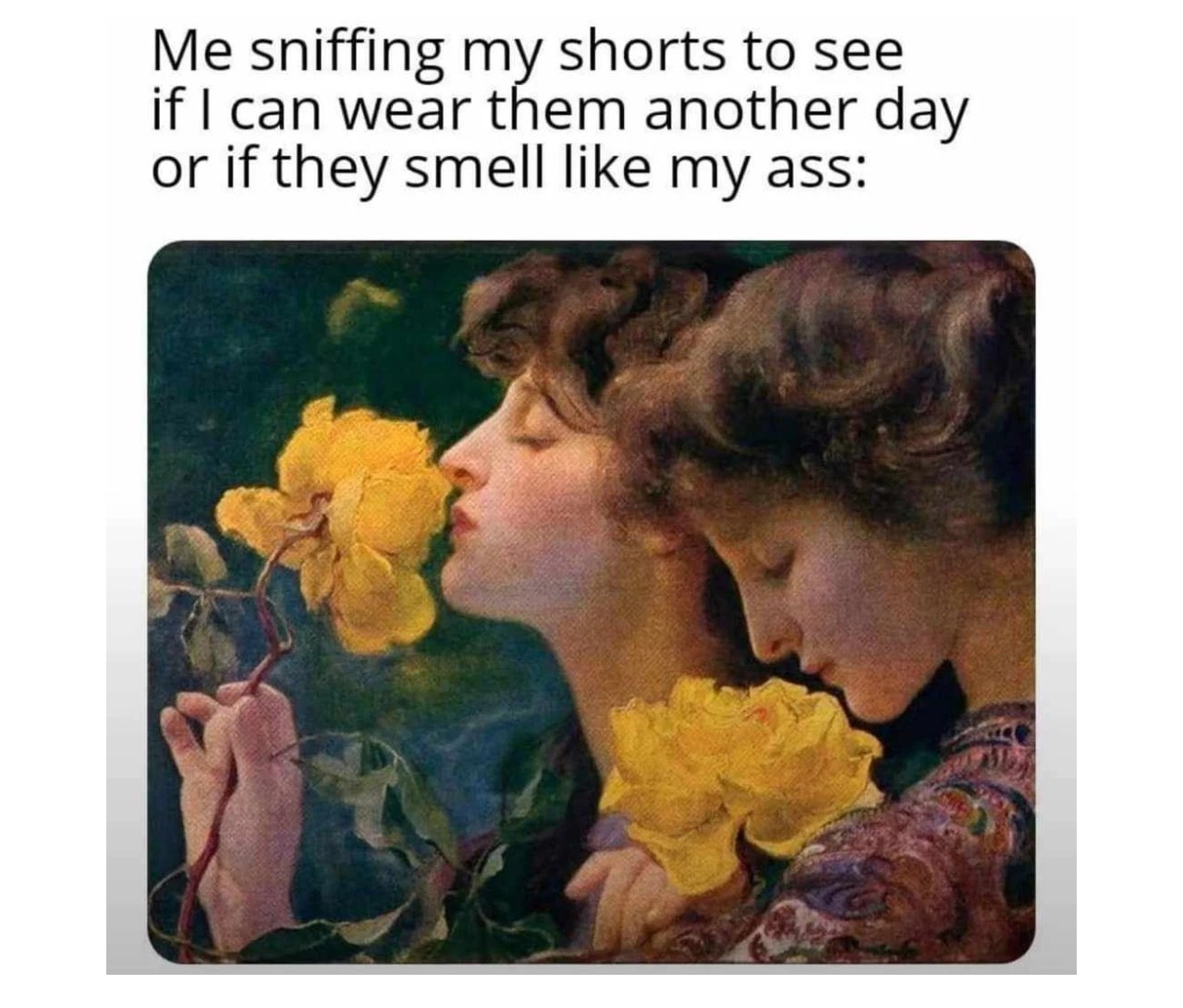 Funniest Memes - FG.jpg