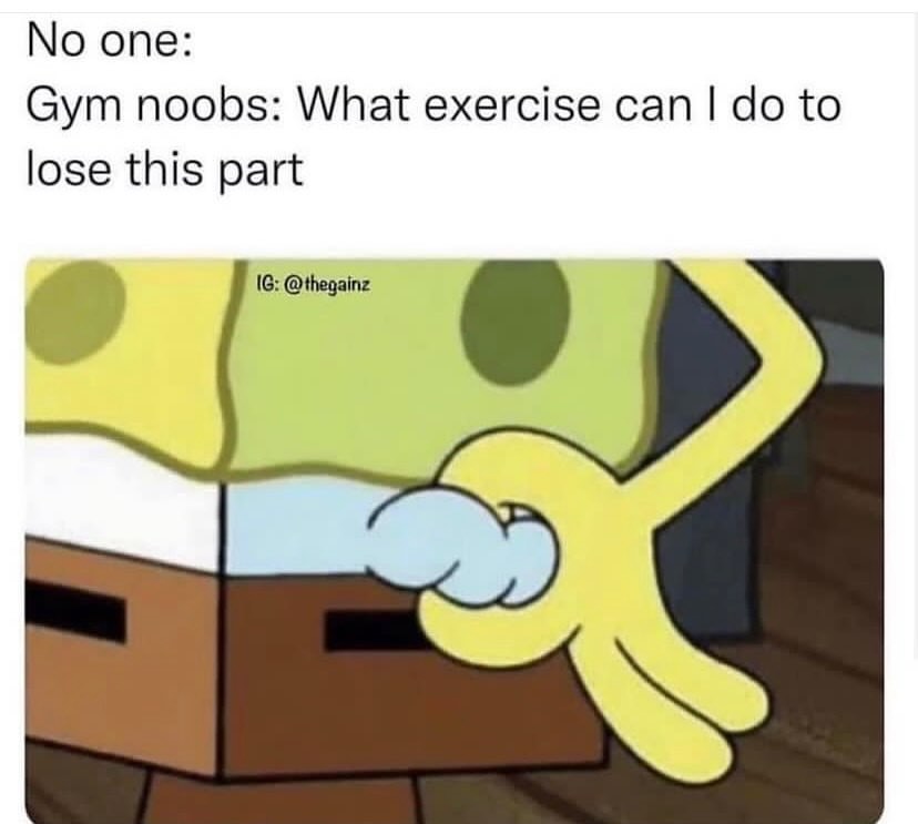 25 Funny Gym Memes That Are Funner Than Leg Day Excuses 22 Gym noobs
