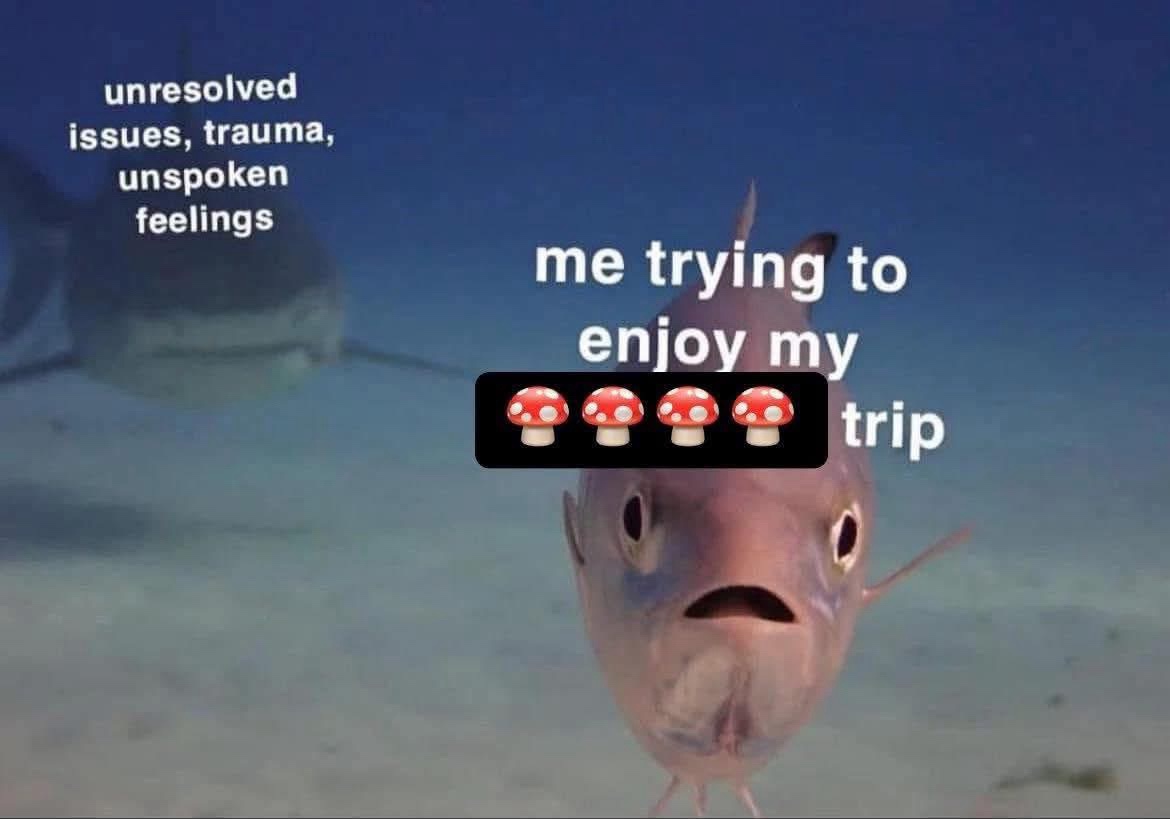 30 Random Laughs for the Good, the Bad, and the Quirky 30 Me enjoying trip