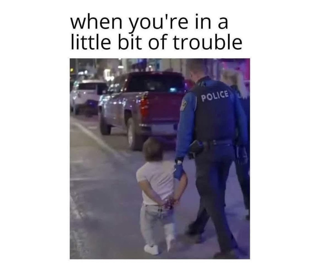 25 Memes That Pair Well with Fine Wine 17 Memes That Pair Well with Fine Wine - FG