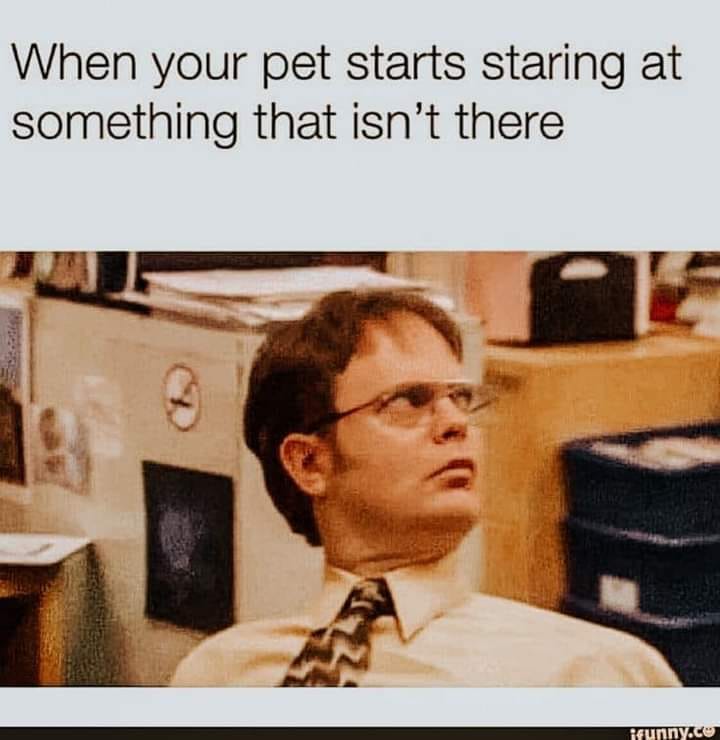 25 Totally Random Memes That Are Weirdly Relatable 14 Pet starts sharing - Totally Random Memes