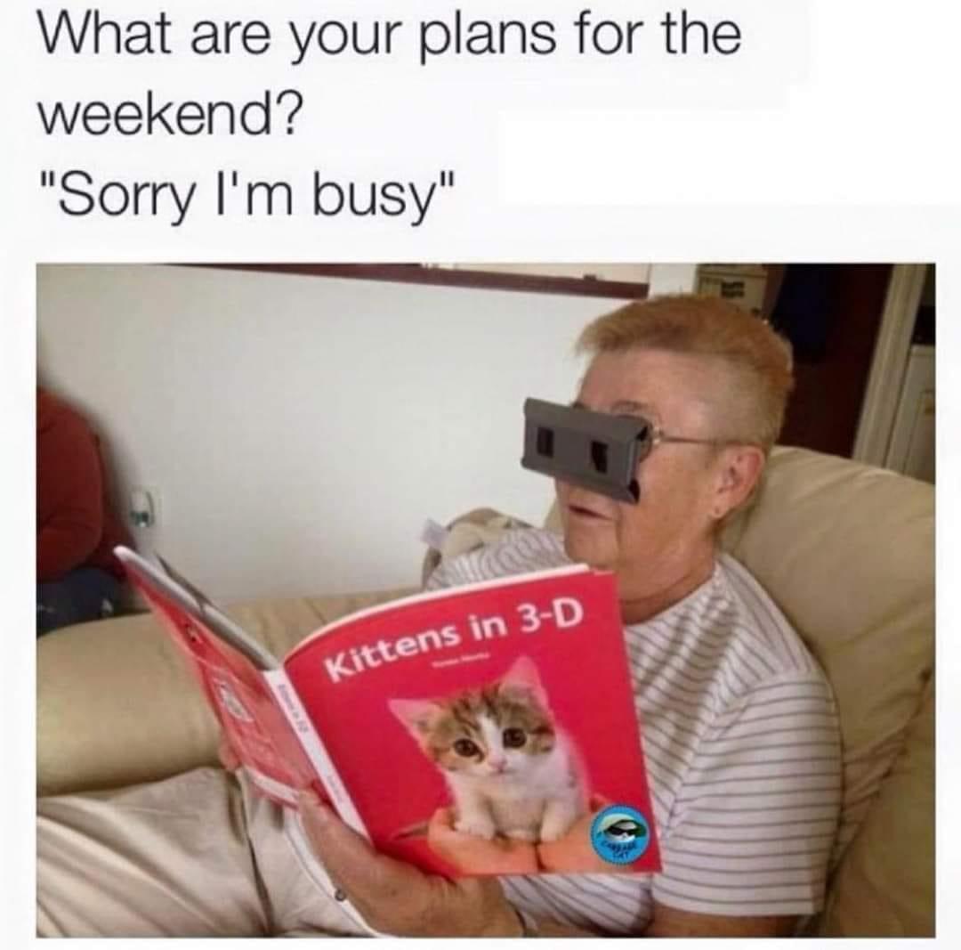 25 Clawsome Cat Memes: Get Ready To Laugh Your Whiskers Off! 24 Plans for weekend