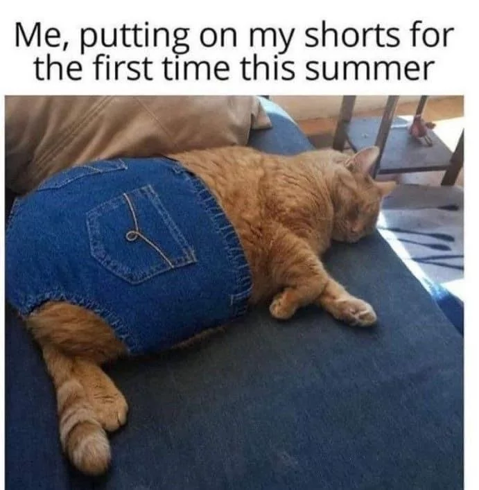 40 Summer Memes That Will Make You Sweat… With Laughter! 40 Putting on my shorts